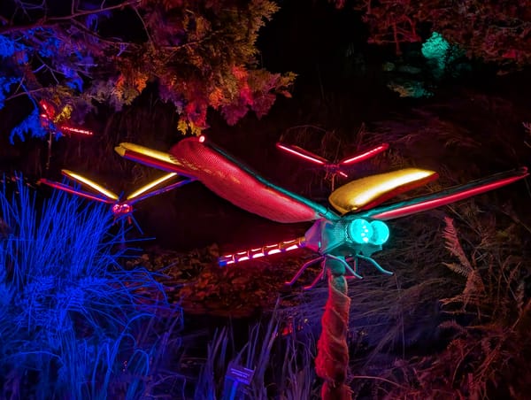 Newsletter November 2025 - In you must go